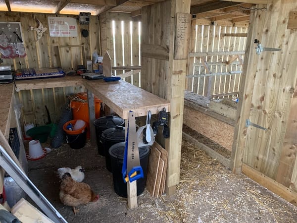 New Aviary at Harleyhill Hens! 🦜✨