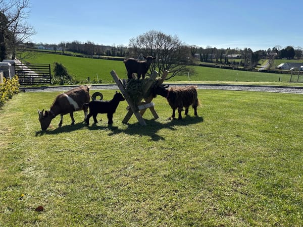🐐 Mount Haymore Has Been Conquered 🏔️