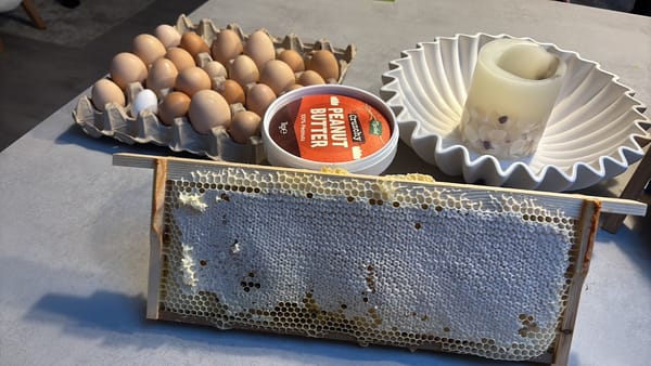 Breakfast Goals: Straight from the Homestead 🐓🍯🥜